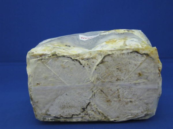 画像2: Ｌ材２本入り　特用カワラ材 (2)