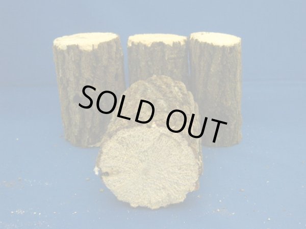 画像3: クヌギ材(極太物) 特A(柔目) (3)