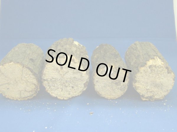 画像2: クヌギ材(超柔目)  (2)