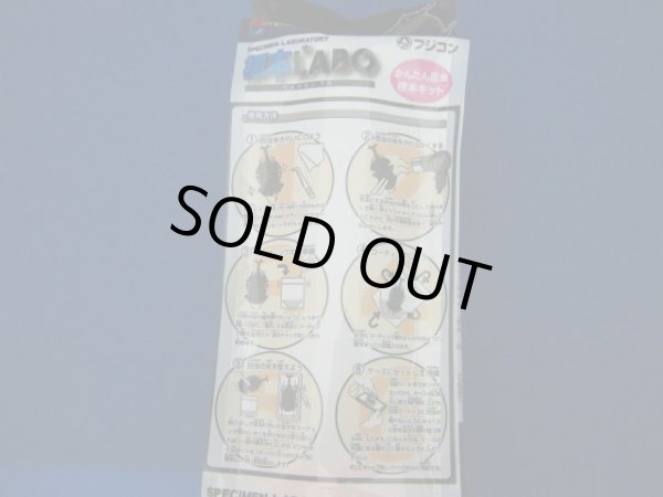 画像2: 標本LABO (2)