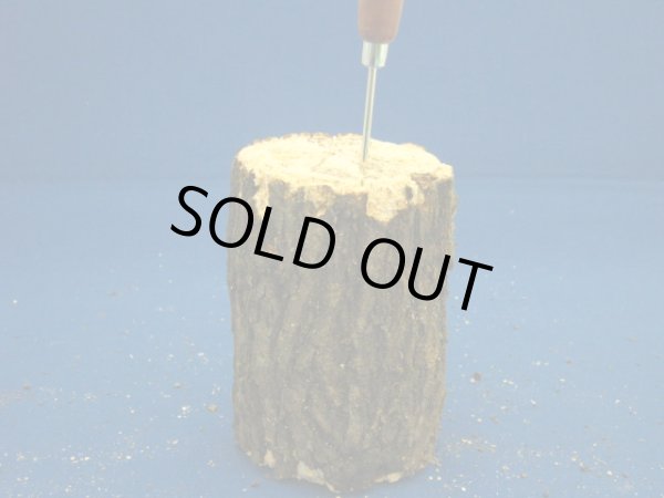 画像3: クヌギ材(超柔目)  (3)