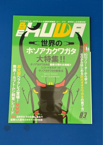 画像1: ＢＥ　ＫＵＷＡ　　Ｎｏ．８３ (1)