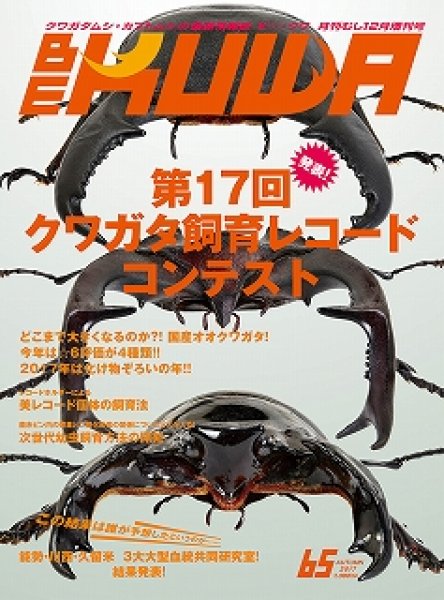 画像1: ＢＥ　ＫＵＷＡ　　Ｎｏ．６５ (1)