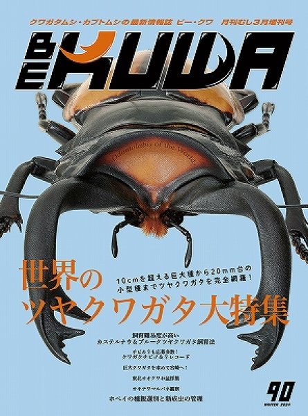 画像1: ＢＥ　ＫＵＷＡ　　Ｎｏ．９０ (1)