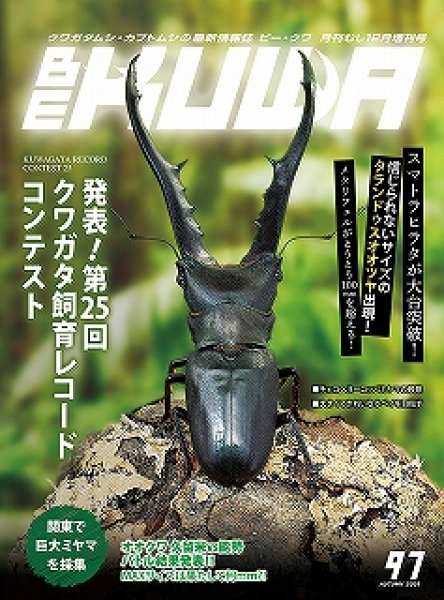 画像1: BE KUWA  No.97 (1)