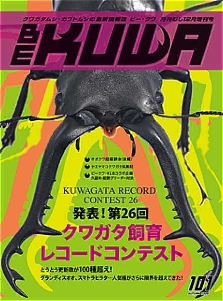 画像1: ＢＥ　ＫＵＷＡ　　Ｎｏ．１０１ (1)