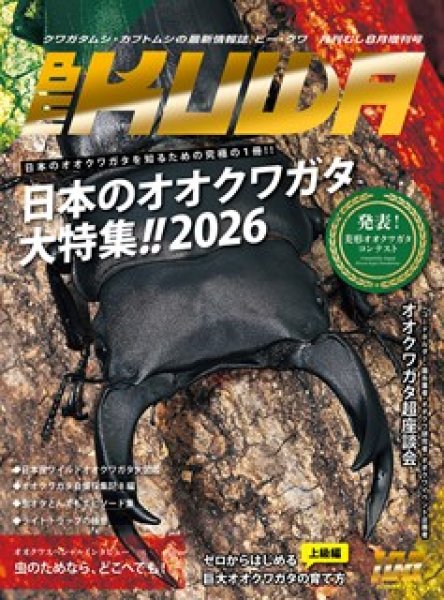 画像1: ＢＥ　ＫＵＷＡ　　Ｎｏ．１００ (1)