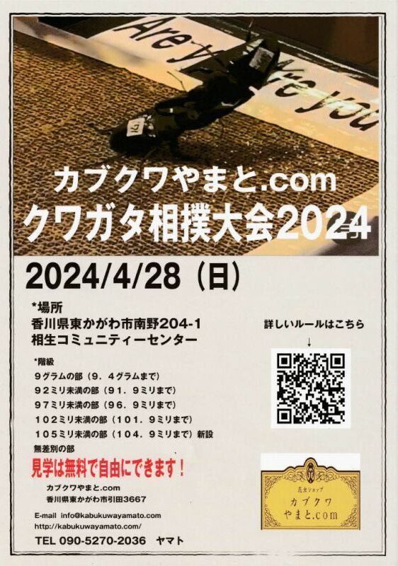 カブクワやまと.comクワガタ相撲大会２０２４